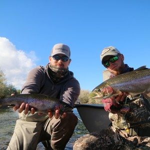 Meet your Posher, Jake